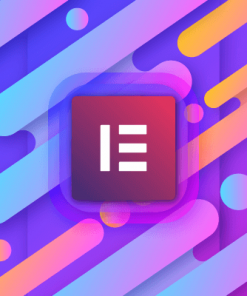 Elementor PRO WordPress Page Builder