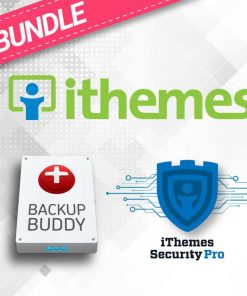 Plugin bản quyền iThemes All-in-one Bundle